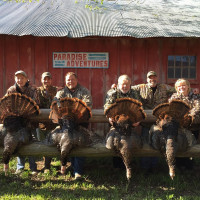 2015 Turkey Hunting Pictures